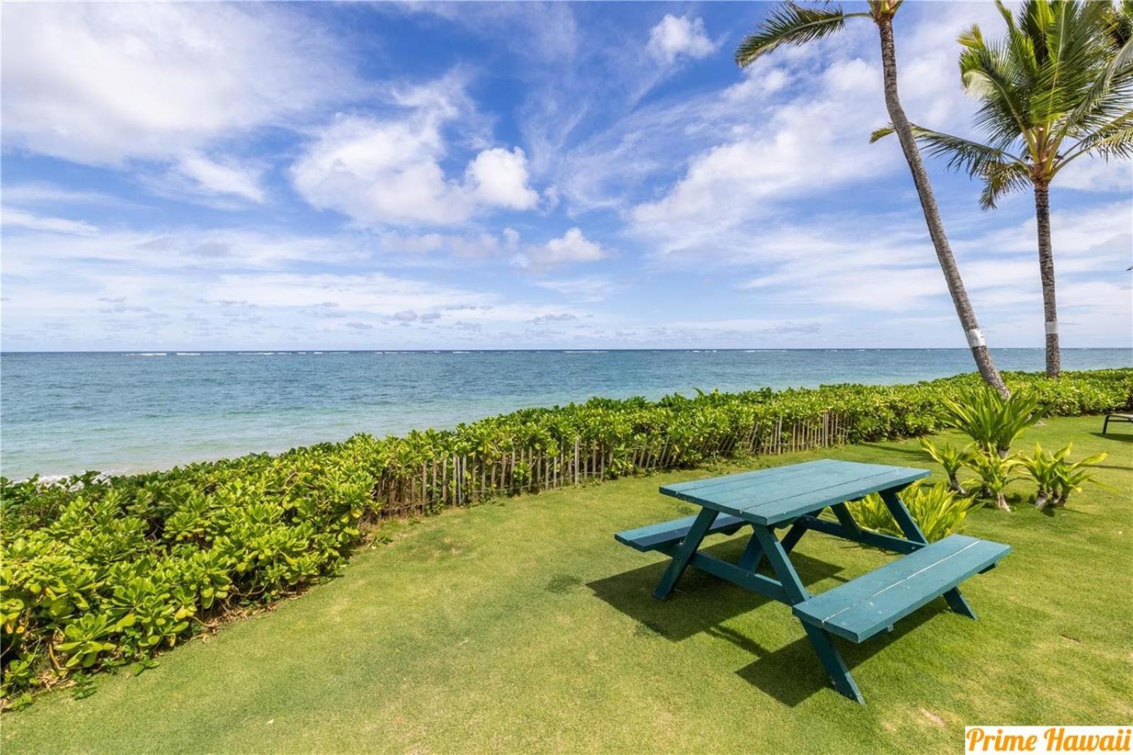 Hau'ula Pats At Punalu'U - Beachfront Condo 7 מראה חיצוני תמונה